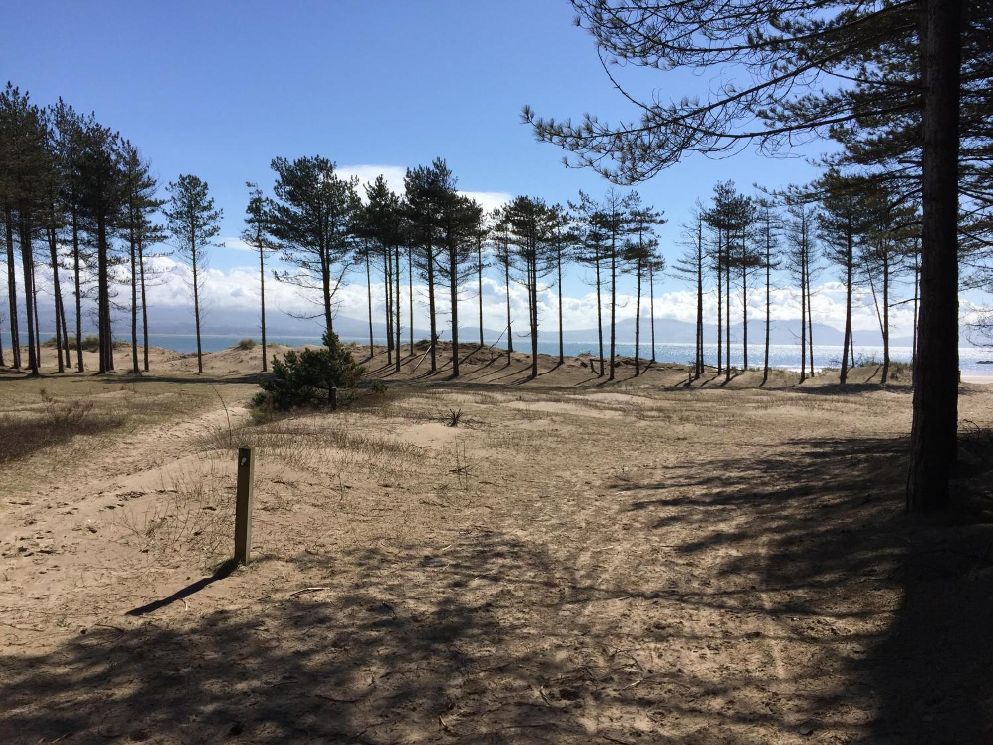 Llanw Malltraeth - Malltraeth Tides Llangadwaladr  Eksteriør billede